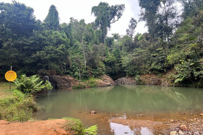 Pork Highway & Cayey Cultural & Gastronomical Experience - Carite State Forest and the walk to Charco Azul