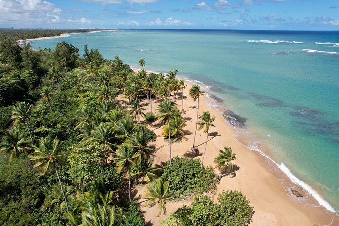 PR Chinchorreo-Beach and Bar Hopping Tour - Key points to know before you book