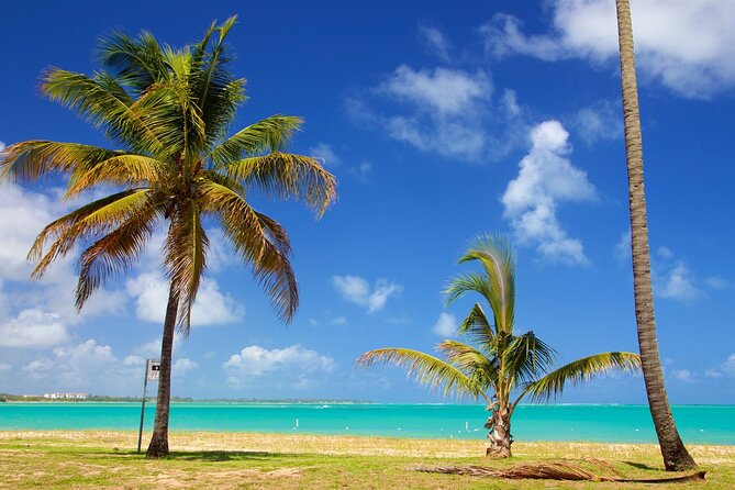 PR Chinchorreo-Beach and Bar Hopping Tour - Maunabo offers Puerto Rico’s black-sand beach