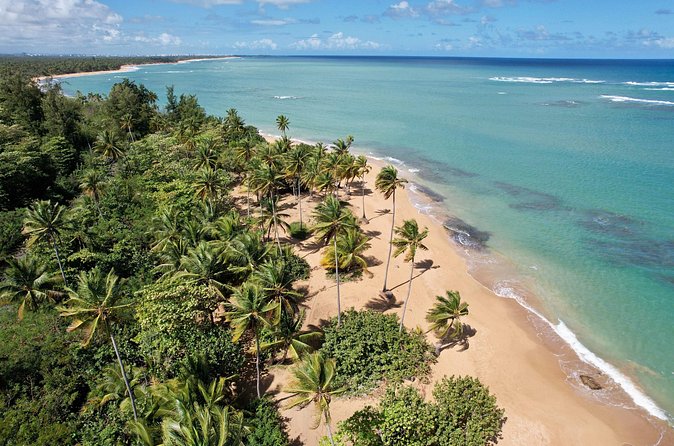 PR Chinchorreo-Beach and Bar Hopping Tour - Humacao closes the day with another local stop