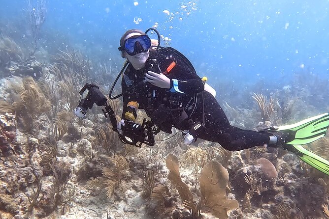 Private 2-Tank Dive with PADI Instructor for Certified Divers - Key points about this Fajardo SCUBA charter