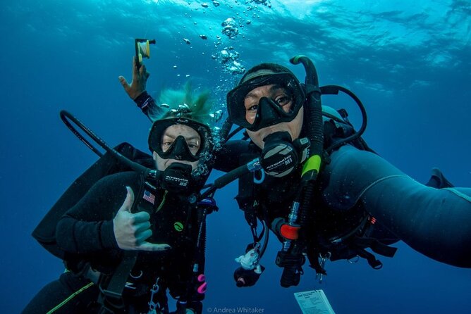 Private 2-Tank Dive with PADI Instructor for Certified Divers - A private half-day on Puerto Rico’s northeast coast