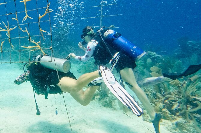 Private 2-Tank Dive with PADI Instructor for Certified Divers - The real price of a private Fajardo boat