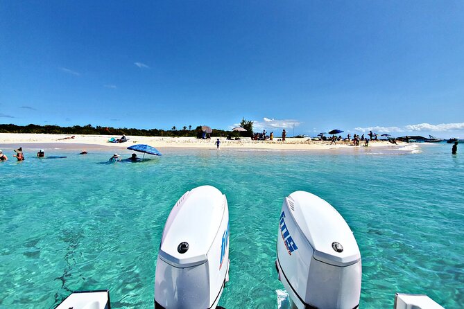Private All-Inclusive 22ft Boat Guided Snorkeling Icacos Palomino - Key points to know before you book