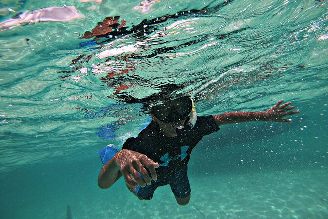 Private All-Inclusive 22ft Boat Guided Snorkeling Icacos Palomino - Palominito and the marks of Hurricane Maria