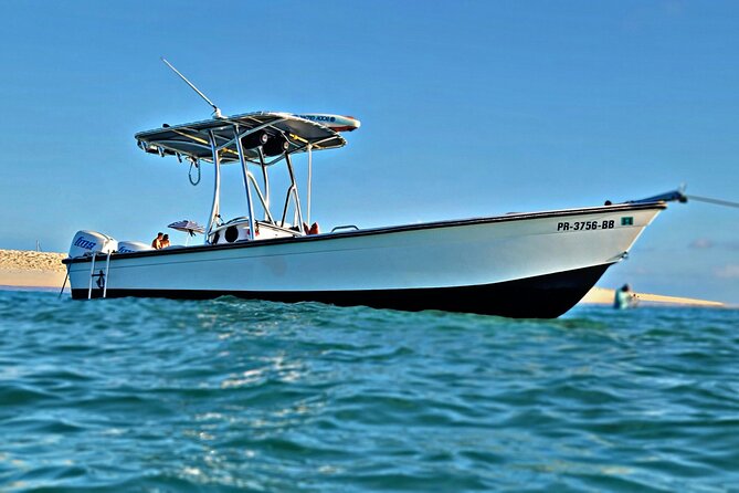 Private All-Inclusive 22ft Boat Guided Snorkeling Icacos Palomino - Is $550 good value for six people?