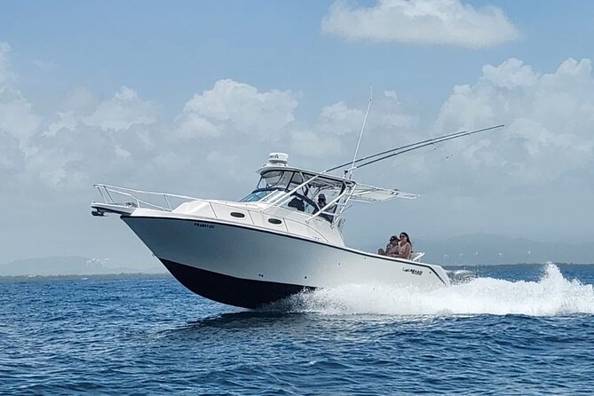 Private All Inclusive East Coast Keys Tour and Snorkel Experience - Isla Palominos and the turtle viewing area