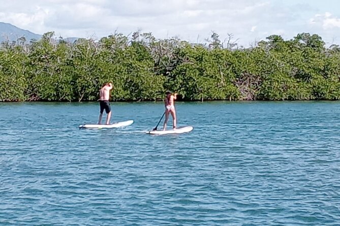 Private Day Sail - South Coast of Puerto Rico - Who Should Book This South Coast Sail