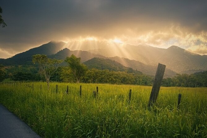 Private El Yunque Half-Day Tour with Transport - Strict age, health, and safety rules