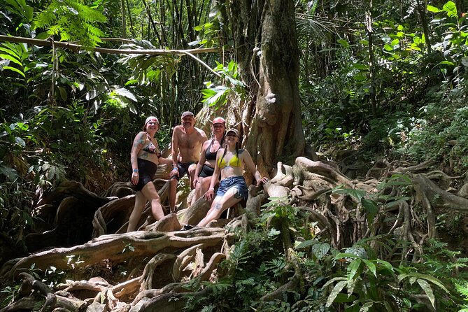 Private El Yunque Rainforest Day Tour with Transport - Pickup from San Juan and Carolina
