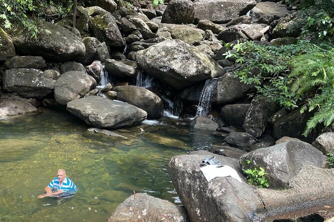 Private El Yunque Tour To Hidden Waterfall Remote Area - Why this part of El Yunque feels different