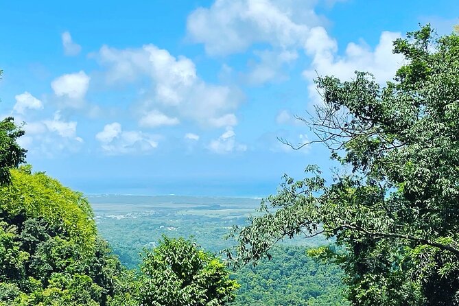 Private El Yunque Tour To Hidden Waterfall Remote Area - Waterfall hydrotherapy and time to slow down