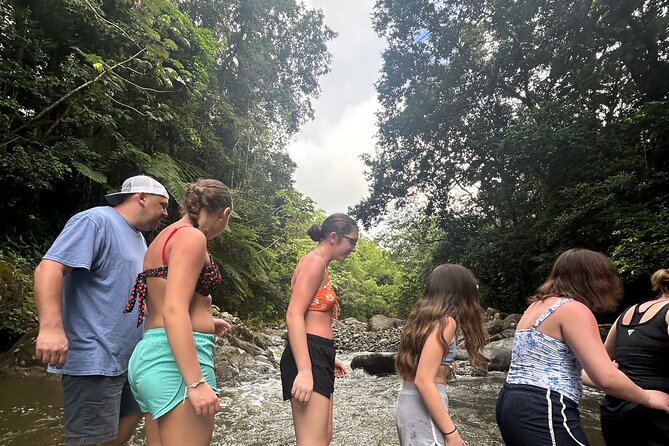 Private El Yunque Tour to Waterslide and Waterfalls - Swimming and waterfalls are the heart of the outing