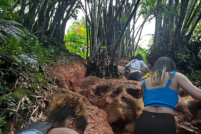 Private El Yunque Tour to Waterslide and Waterfalls - The rope swing adds a simple, fun change of pace