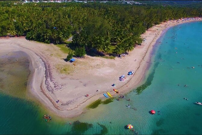 Private El Yunque Waterslides and Luquillo Beach Tour - Why a private guide can make the difference