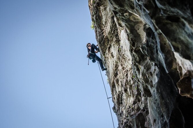 Private Guided Rock Climbing Trips in Puerto Rico - Key points about this Puerto Rico climbing day