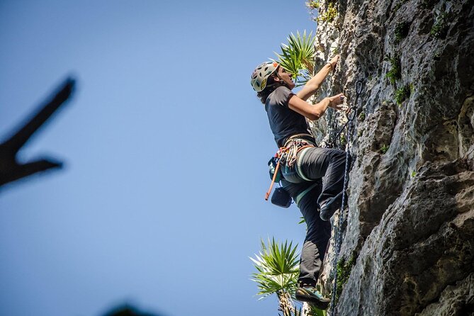 Private Guided Rock Climbing Trips in Puerto Rico - How the $165 price measures up