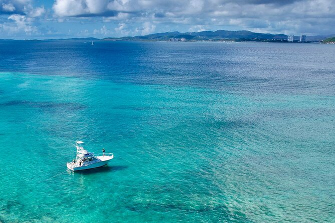 Private Luxury 36' Yacht from Fajardo to Icacos or Palomino - Who should book this boat day?