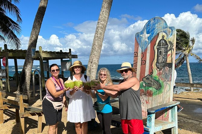 Private MEGA El Yunque Full Day Tour: Rainforest, Rivers, Beaches - Who should book this full-day route?