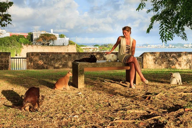 Private Old San Juan Walking Tour - Iglesia de San Jose and early Spanish design