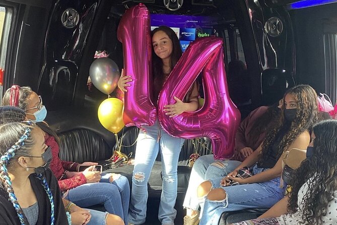 Private Party Bus Tour in Puerto Rico - What this San Juan party bus actually offers