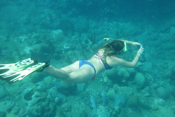 Private Rincon Snorkeling Adventure - What the three hours may feel like