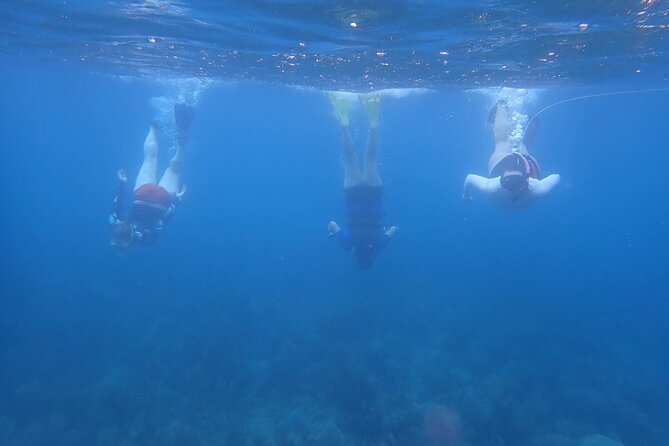 Private Rincon Snorkeling Adventure - Who will get the most from this outing