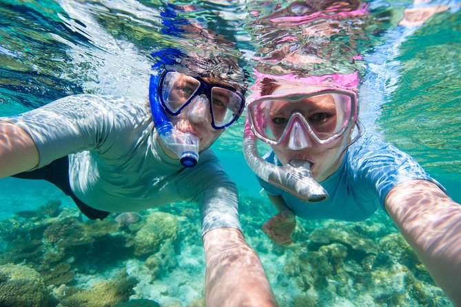 Private Rincon Snorkeling Adventure - Meeting at 9:00 a.m. in Rincón