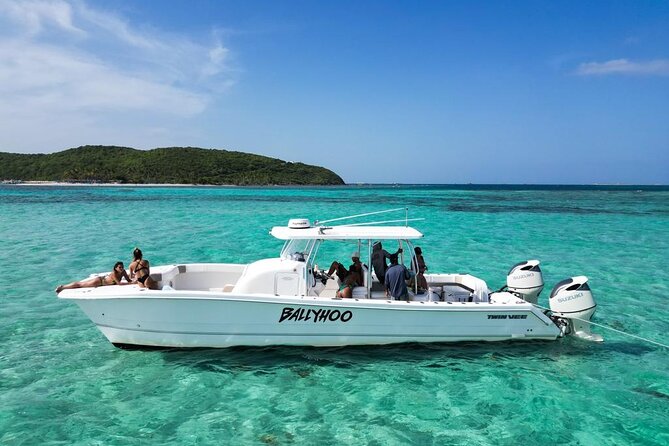 Private Snorkel and Cruise Experience in Ceiba - Leaving from Roosevelt Roads in Ceiba