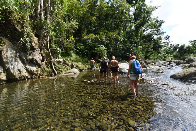 Private Tour of El Yunque Rainforest from San Juan - Starting from San Juan at 8 a.m.