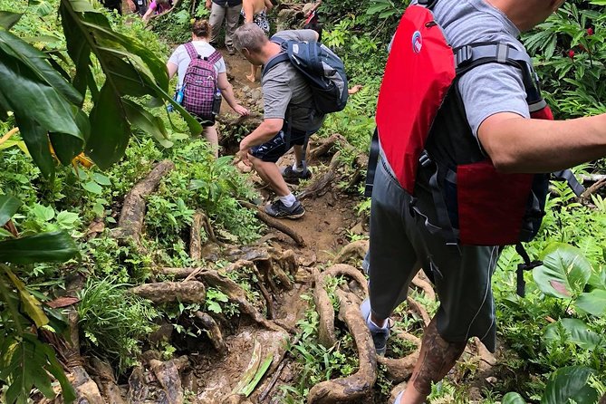 Private Tour of El Yunque Rainforest from San Juan - Las Tinajas and Charco Frio: what the active hike involves
