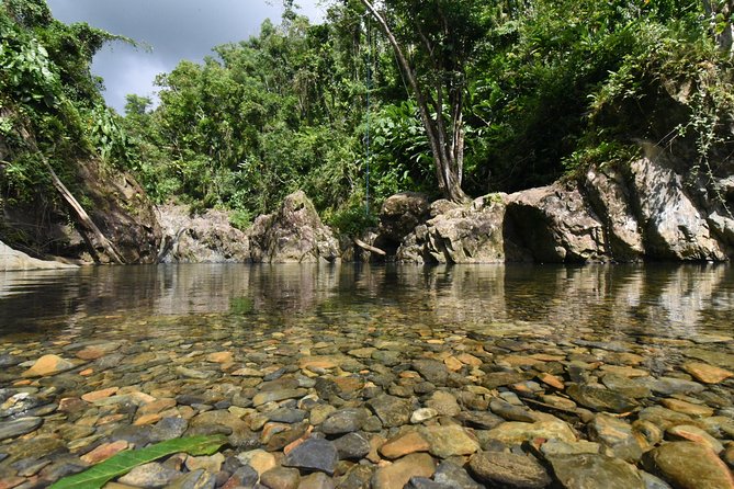 Private Tour of El Yunque Rainforest from San Juan - The gentler forest plan for families and casual walkers