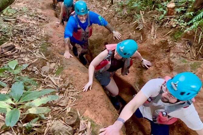 Private Tour of El Yunque Rainforest from San Juan - Cruise passengers need to plan carefully