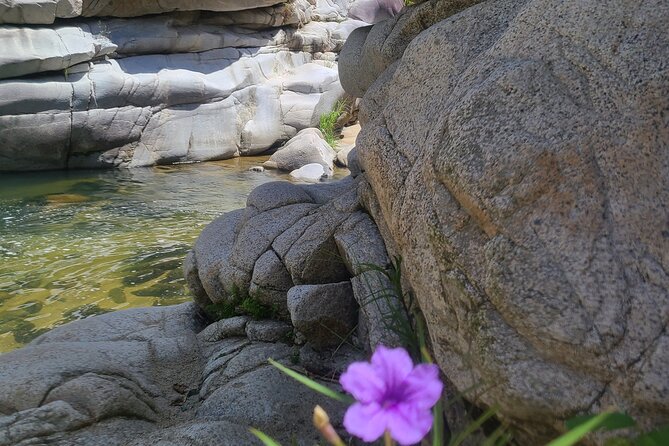 Private Tour of the White Canyon Ancestral Route in Utuado - What to pack for the four-hour route