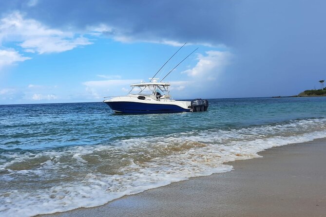 Private Tour to Cayo Icacos and Palomino Island - Why this private Fajardo boat trip is appealing