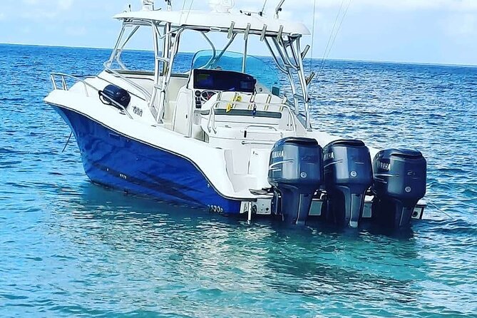 Private Tour to Cayo Icacos and Palomino Island - Is $1,000 a fair price for up to eight people?