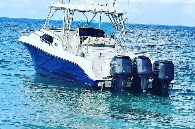 Private Tour to Cayo Icacos and Palomino Island - Who will enjoy this outing most?