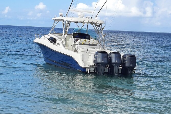 Private Tour to Cayo Icacos and Palomino Island - Leaving Marina Puerto Chico at 10:00 a.m.