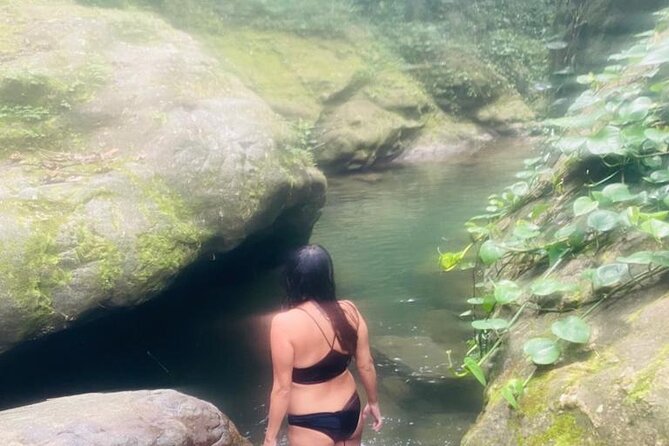 Private Wellness Tour of Puerto Rico Waterfalls and Hot Springs - Is $328 per person a fair price?