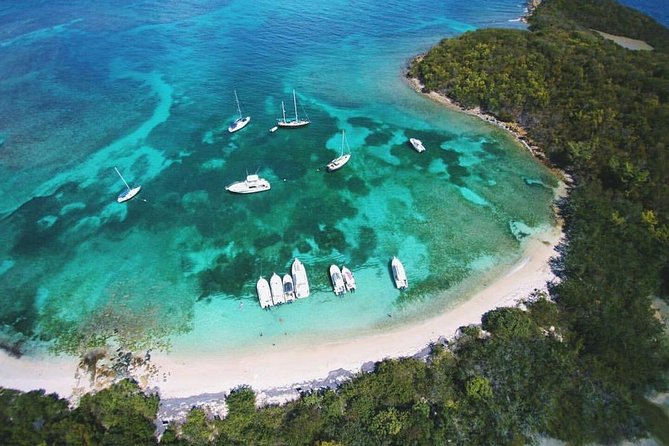 Public or Private Boat Trip to Icacos & Palomino - Key things to know before you book