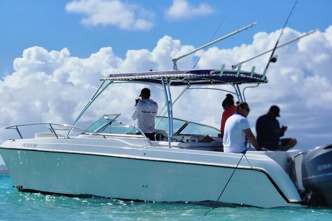 Public or Private Boat Trip to Icacos & Palomino - Hotel pickup needs a careful check
