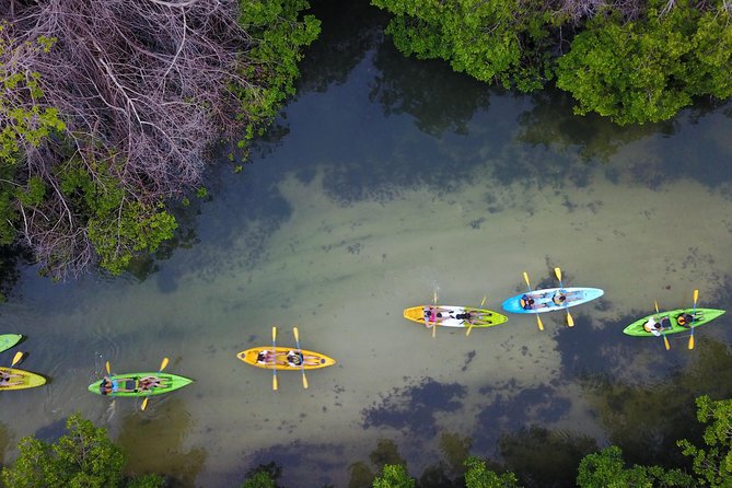 Puerto Rico Bio Bay Kayak Adventure Tour - Guides, safety, and the group experience