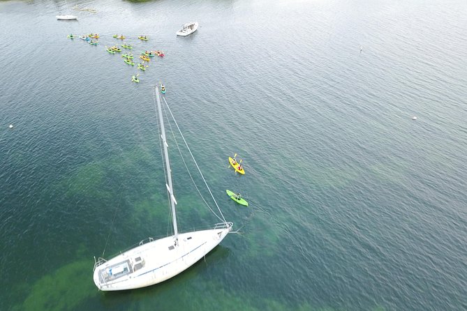 Puerto Rico Bio Bay Kayak Adventure Tour - Is $65 a good value in Fajardo?