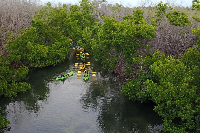Puerto Rico Bio Bay Kayak Adventure Tour - The route from Las Croabas to the mangroves