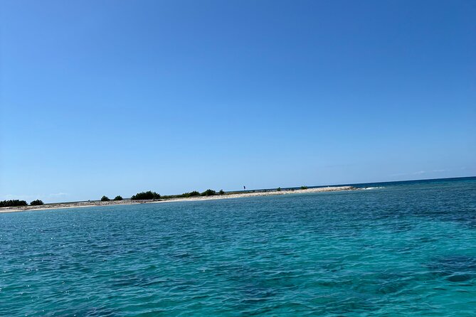 Puerto Rico: Bio Bay Swim and Sunset Charter or Late night tour - Five things to know before you book