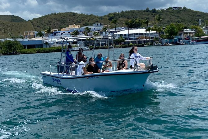 Puerto Rico: Bio Bay Swim and Sunset Charter or Late night tour - Starting at Mareaito Charters in La Parguera