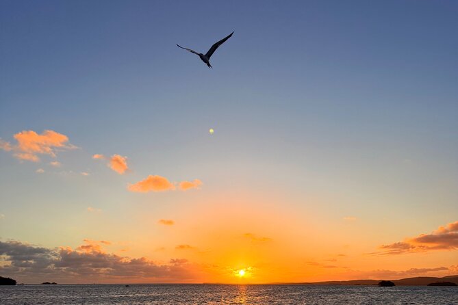 Puerto Rico: Bio Bay Swim and Sunset Charter or Late night tour - Crew, comfort, and group size