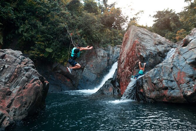 Puerto Rico El Yunque Rainforest with Transportation - Key points at a glance