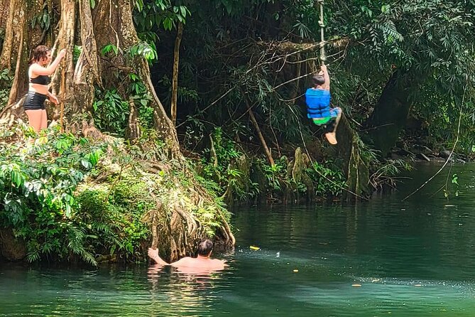 Puerto Rico El Yunque Rainforest with Transportation - What you are really booking at El Yunque