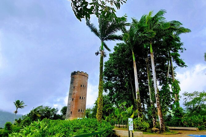Puerto Rico: El Yunque Sightseeing Half-Day Tour w/Transfer - A practical way to reach El Yunque from Isla Verde